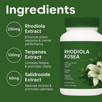 Rhodiola Rosea - Boost Your Energy & Ease Your Mind