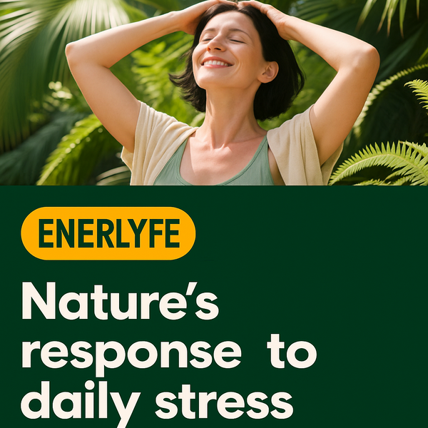 Rhodiola Rosea - Boost Your Energy & Ease Your Mind